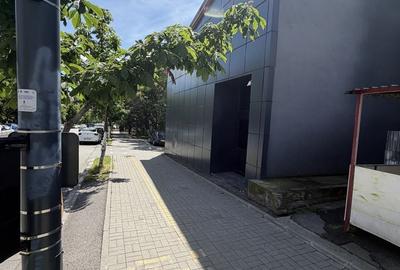 Spațiu comercial, de 235 mp, în Nicolae Bălcescu - 3
