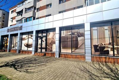 Spațiu comercial, de 485 mp, în Șagului - 1