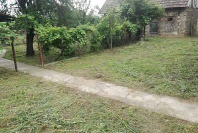 Casă cu 3 camere cu Teren 5000 Mp în Horea - 3