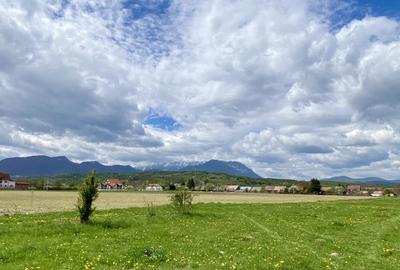 Teren plat P +4 Bran, panoramic munti, DN73, toate utilitatile - 11