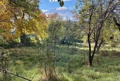 Casa / Vila cu 2 camere de vanzare - 1