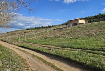 Spațiu comercial, în Central