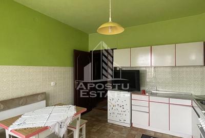 Vila spatioasa in Elisabetin - 2