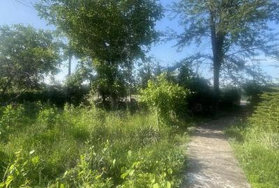 Casă în Podu Doamnei - 3