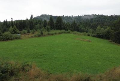 Teren 5023 mp  In Bucovina Zona Manastirea Voronet De Vanzare 0727817187 - 6