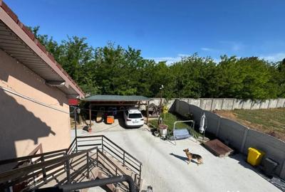 Casă cu 8 camere cu Teren 5000 Mp în Malu Mare - 9