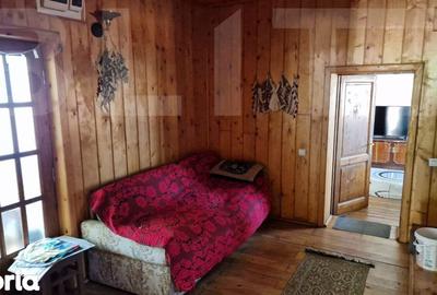 Casă cu 4 camere cu Teren 3166 Mp în Burjuc - 6