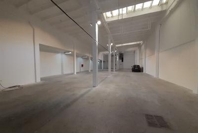 Spațiu industrial, de 750 mp, în Basarabia - 3