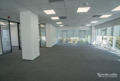 Birouri 216 mp Brancusi - 7