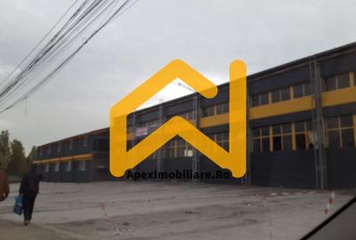 Spațiu comercial, de 550 mp, în Malu Roșu - 44