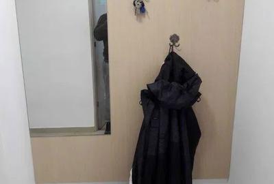 Apartament cu 3 camere decomandat, mobilat în Mihai Bravu - 4