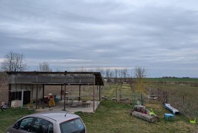 Casa 4 dormitoare, teren 2000m - 14