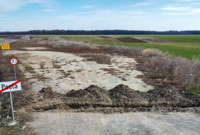 Teren intravilan la asfalt si statie autobuz Ilfov Cernica Posta - 11
