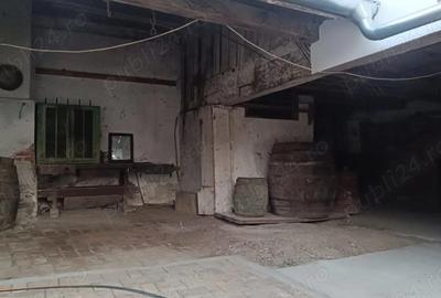 Casa de vanzare Bozovici - 4