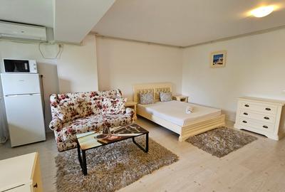 Garsoniera zona Otopeni (Aeroport) bloc NOU, Mobilata-Utilata MODERN - 23