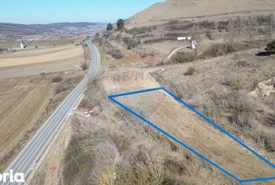 Teren de 2000 mp, în Moșna - 24