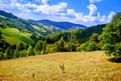 CASA TRADITIONALA, ANEXE si 46.980 mp teren partial INTRAVILAN BULZ - BIHOR - 37