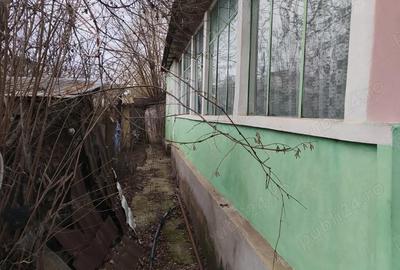 Casă cu 4 camere cu Teren 1340 Mp în Băneasa - 4