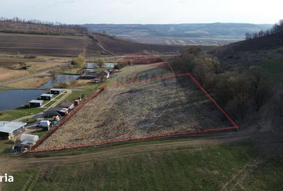 Spațiu comercial, în Laslea - 15