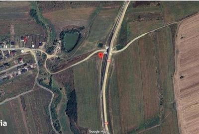 Teren de 2950 mp, în Albota - 3