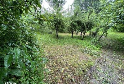 Teren de 1000 mp, în Provița de Jos - 3