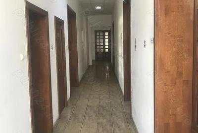 Imobil deosebit , ultracentral - de inchiriat ! - 6