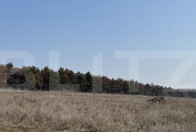 Parcele teren langa padure, 500 mp, utilita?i, zona Dru - 12