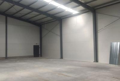 Spațiu comercial, de 540 mp, în Moara Domnească - 6