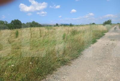 Teren de 2500 mp, în Sopor - 3
