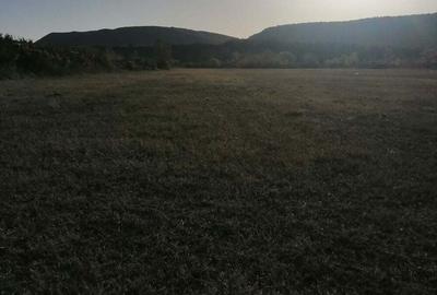 Teren de 3200 mp, în Bănești - 10