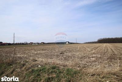 Teren de 9740 mp, în Bosanci