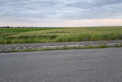 Teren de 30000 mp, în Filipeștii de Târg - 3