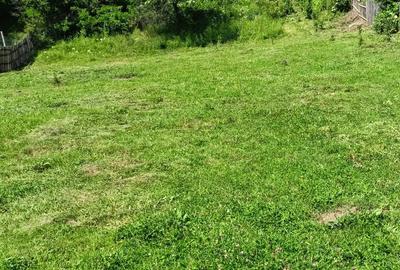 Teren de 4000 mp, în Aninoasa - 5