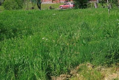 Spațiu comercial, în Viile Satu Mare - 2