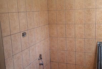 Garsonieră nedecomandată în Dumbrava - 2