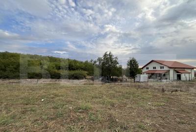 Teren de 1000 mp, în Central