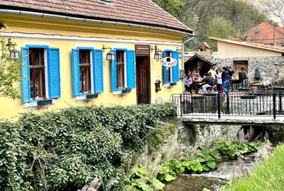 Casă cu 3 camere în Sasca Montană - 4