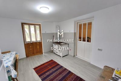 Casă P+1 de vânzare în Cicârlău – zonă superbă, 11 ari teren! - 9