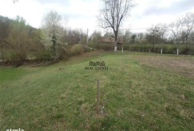 Teren de 9370 mp, în Baia de Criș - 2