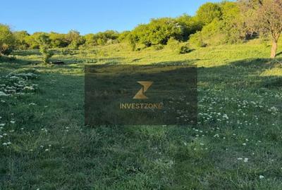 Teren de 2700 mp, în Oncea - 9