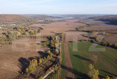 Proprietate de vanzare, 1000 mp, sat Garleni - 2