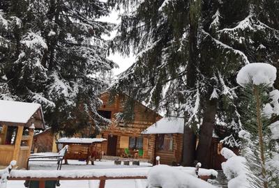 De Vanzare Cabana in   Poiana Negrii cu Clasificare la  Ministerul Turismului - 6