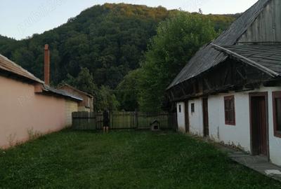 Casă cu 2 camere în Dărmănești - 7