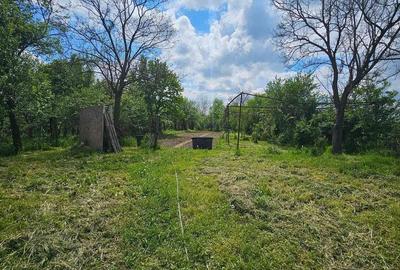 Casă cu 4 camere în Rogoz - 14