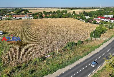 Teren Construcții intravilan de 7976 mp, în Crângurile - 3