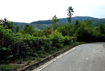 Teren Construcții intravilan de 2600 mp, în Drăgăneasa - 6