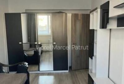 Brancoveanu luica sud park city - 11