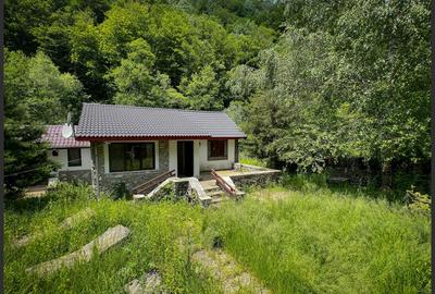 Casuta de vacanta in mijlocul naturii cu piscina - 4
