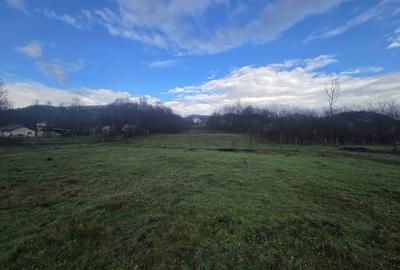 Teren de 8000 mp, în Vlădesti - 9