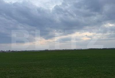 Teren de 500 mp, în Galicea Mare - 1